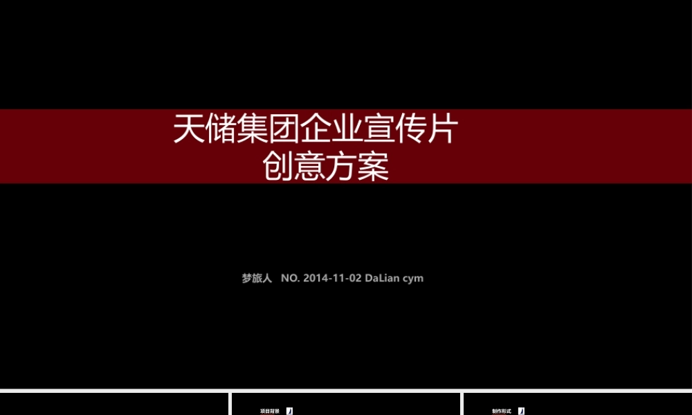 天储项目策划创意方案