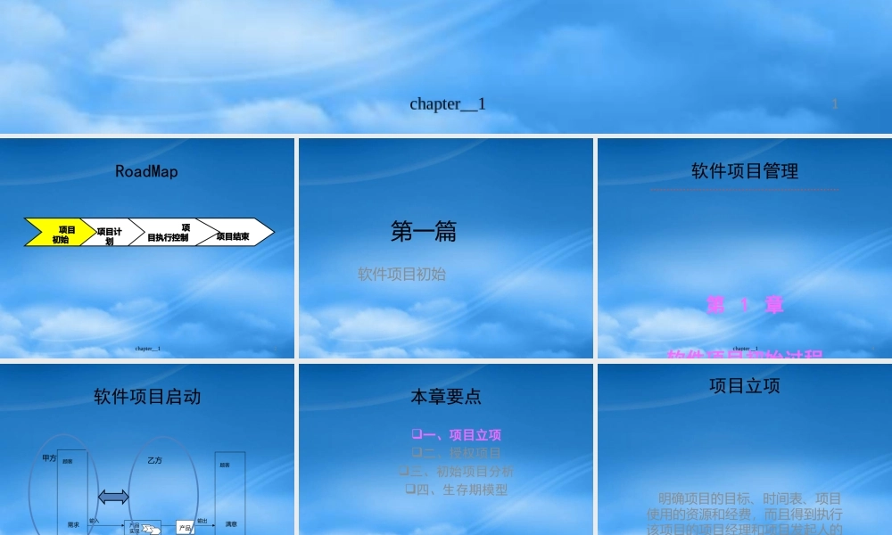 天大研究生软件项目管理Chp2软件项目初始