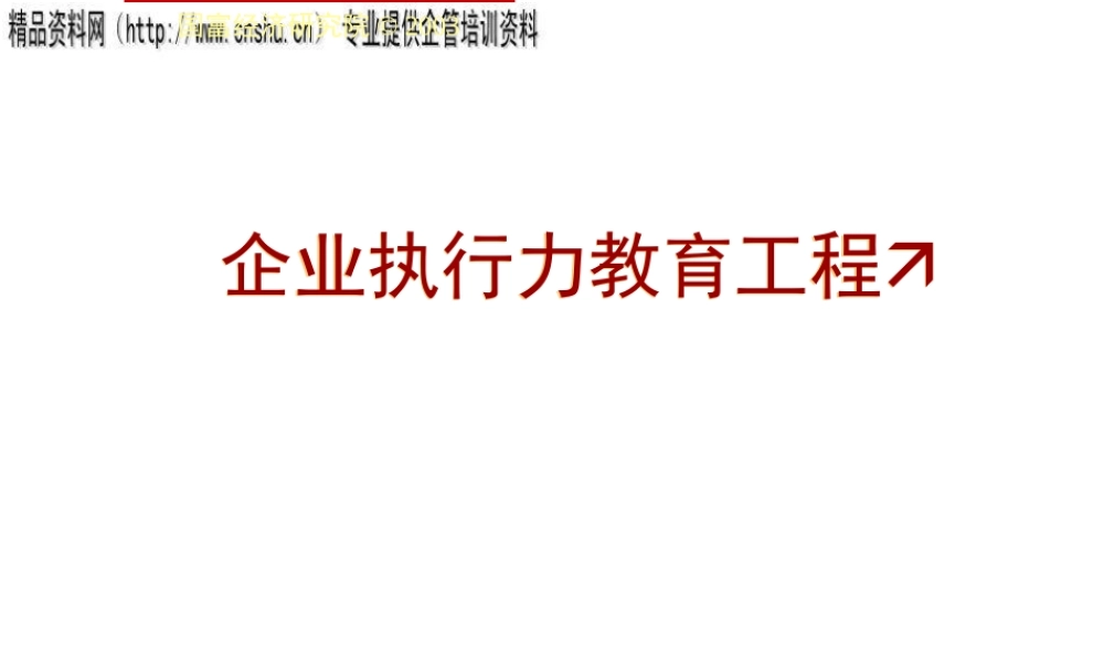 如何扮演高效的执行角色