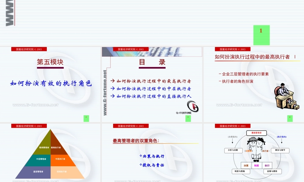 如何扮演有效的执行角色(ppt 21页)