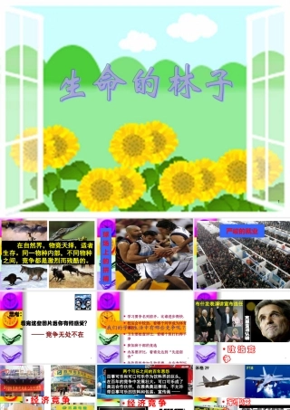 天敌的作用-竞争之道