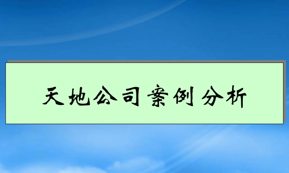 天地公司的案例分析