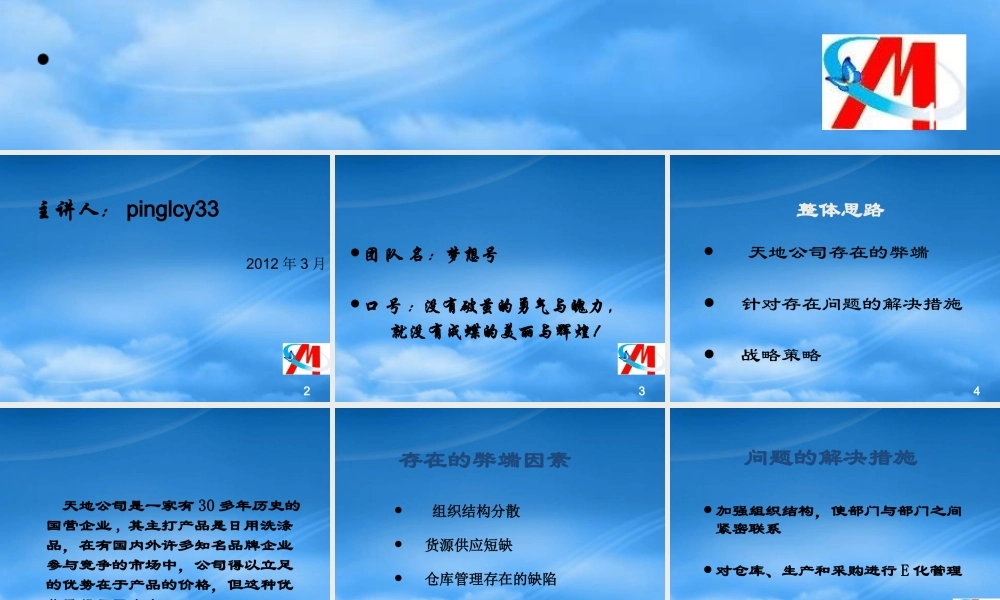 天地公司的案例分析