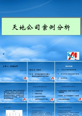 天地公司的案例分析