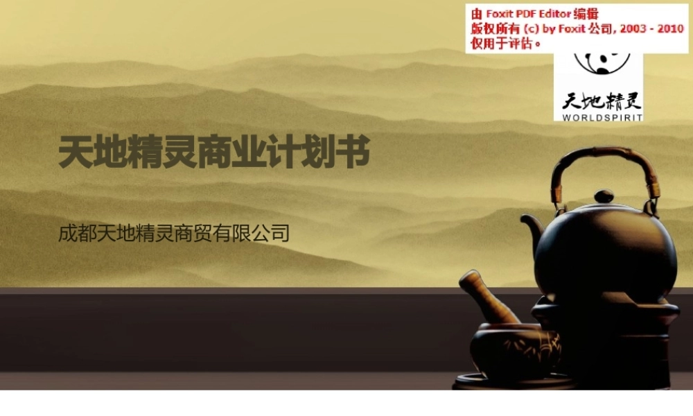 天地精灵商业计划书