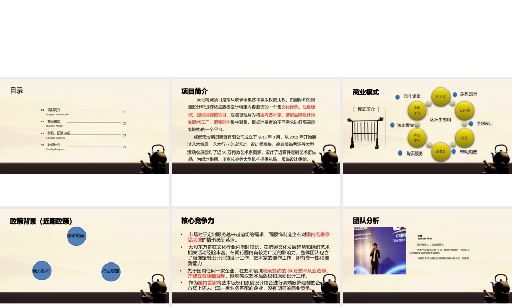 天地精灵商业计划书
