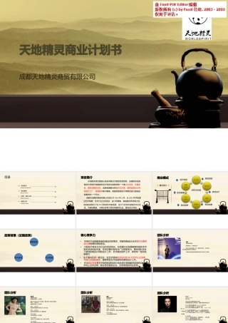 天地精灵商业计划书