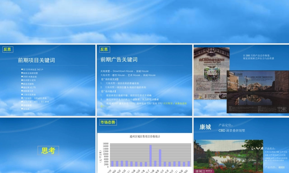 天地美墅项目广告推广思路初探