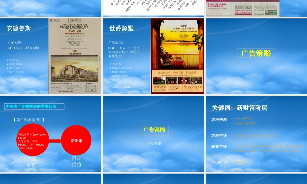 天地美墅项目广告推广思路初探