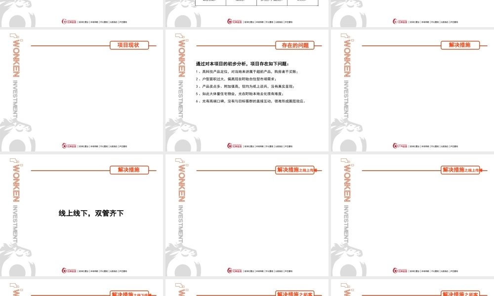 天鹅湖畔项目执行提案