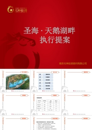 天鹅湖畔项目执行提案