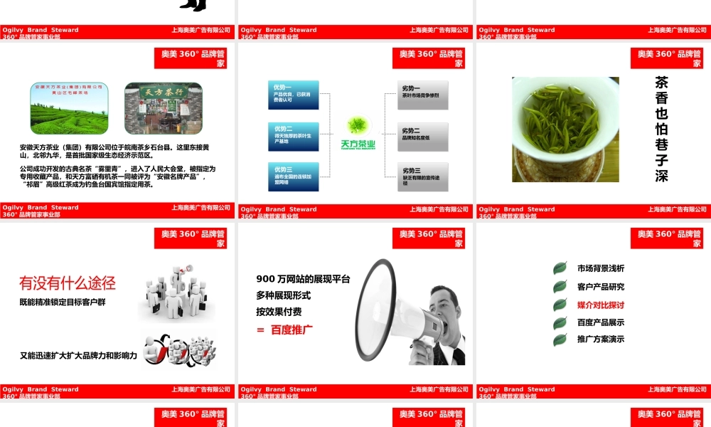 天方茶叶整合推广方案