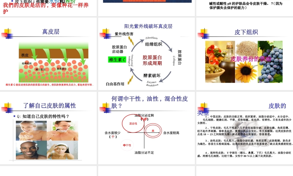 如何保养皮肤(讲稿)