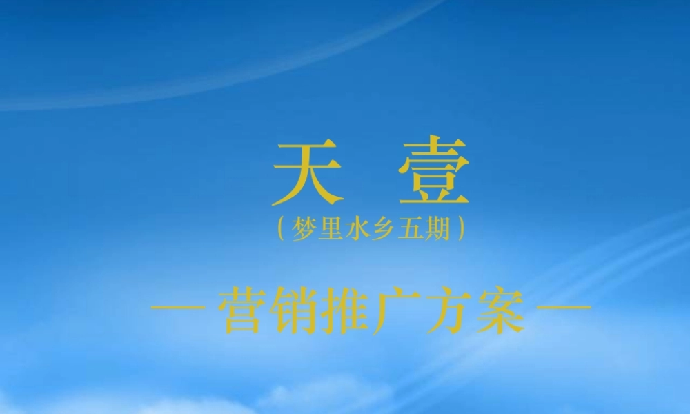 天丰行广告媒介代理公司关于天壹项目推广方