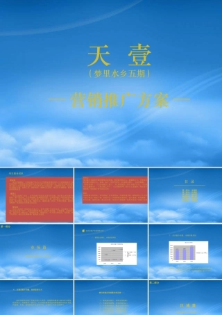 天丰行广告媒介代理公司关于天壹项目推广方1340574125