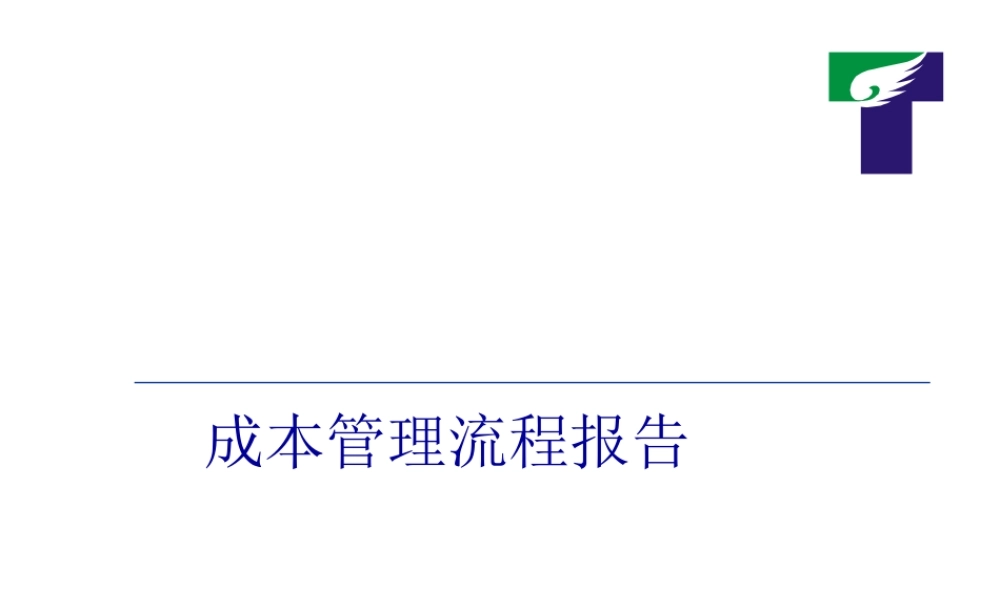 天歌成本管理流程报告