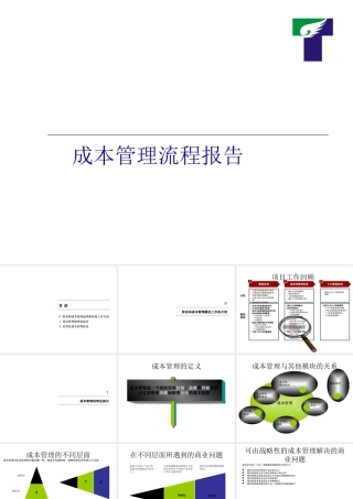 天歌成本管理流程报告