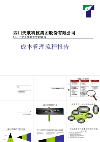 天歌公司成本管理流程—某咨询公司