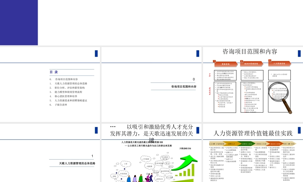 天歌科技集团股份有限公司CD-R业务战略和管理咨询人力资源管理-