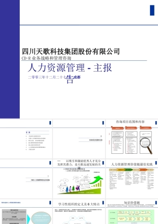 天歌科技集团股份有限公司CD-R业务战略和管理咨询人力资源管理-