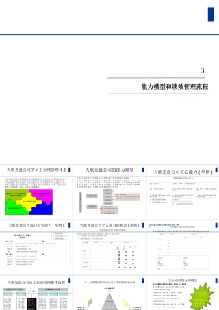 天歌科技能力模型和绩效管理流程(1)