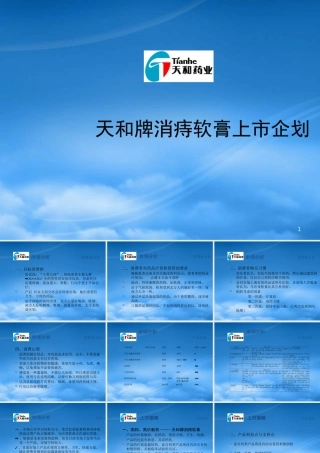 天和牌消痔软膏上市企划(3)