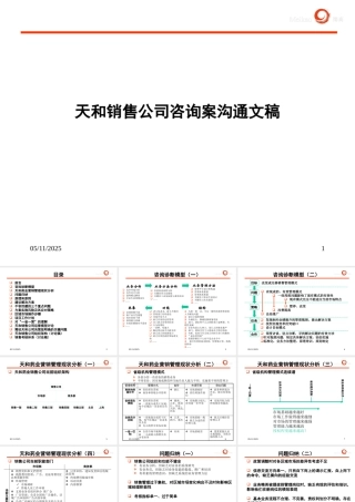 天和销售公司管理再造咨询案