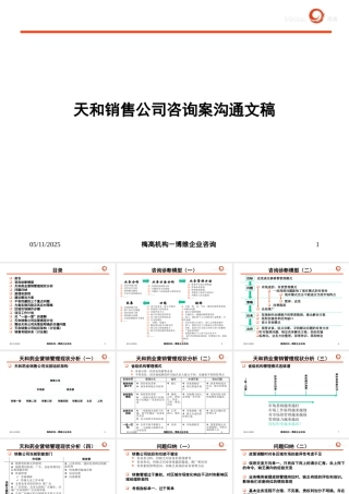 天和销售公司咨询案沟通文稿
