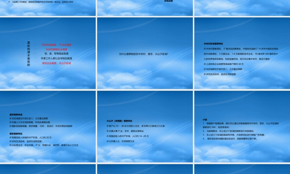 天恒别墅山年度传播推广策略报告