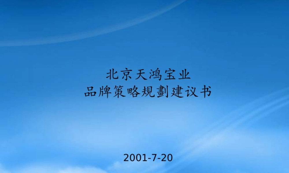 天鸿宝业品牌策略规划建议书