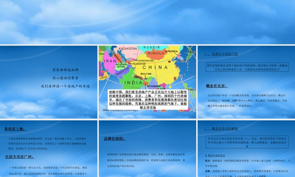 天鸿宝业品牌策略规划建议书