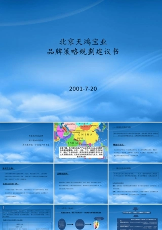 天鸿宝业品牌策略规划建议书