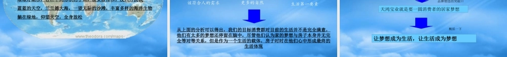 天鸿宝业品牌策略设计方案分析