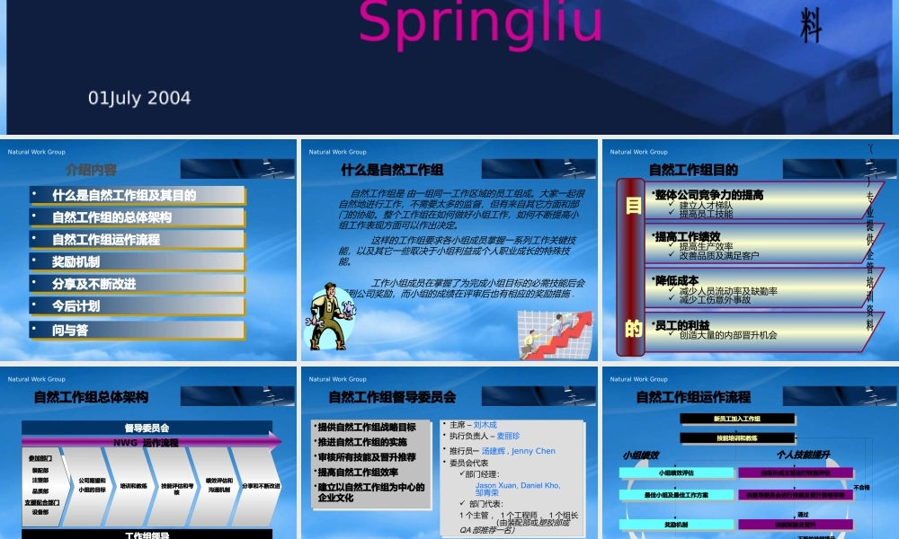 如何不断的提高自然工作组运作流程