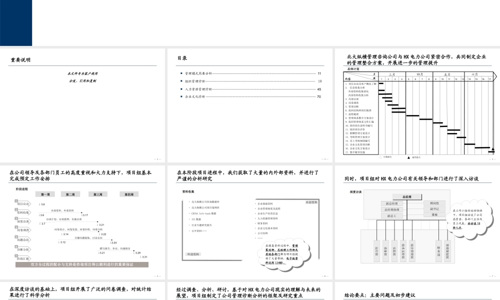 天惠有限公司管理诊断报告书[1]