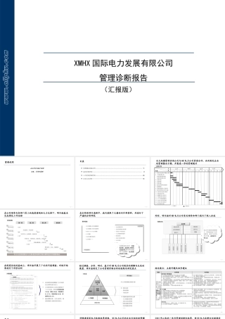 天惠有限公司管理诊断报告书[1]