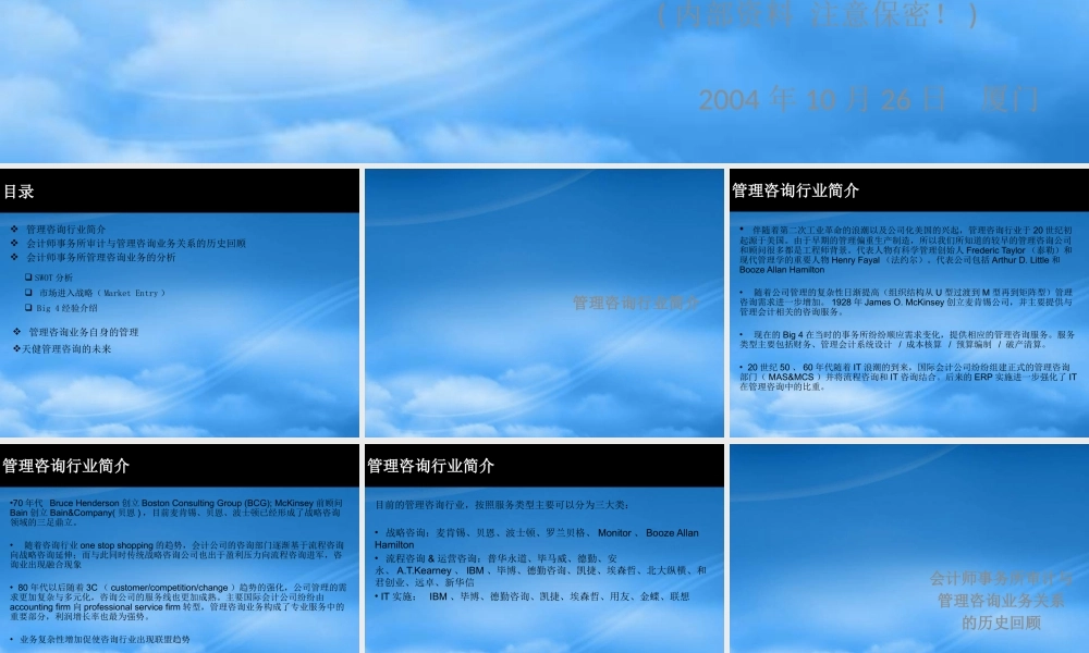 天健管理咨询业务战略内部材料（行业介绍和公司战略PPT）