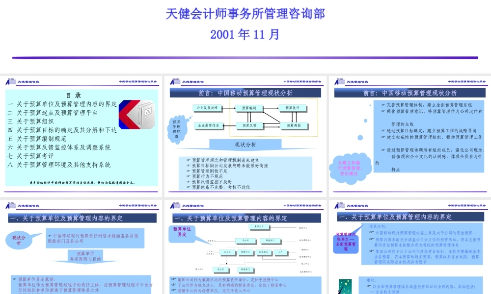 天健咨询—中国移动预算管理咨询报告