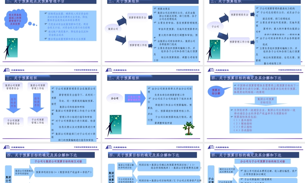 天健咨询—中国移动预算管理咨询报告