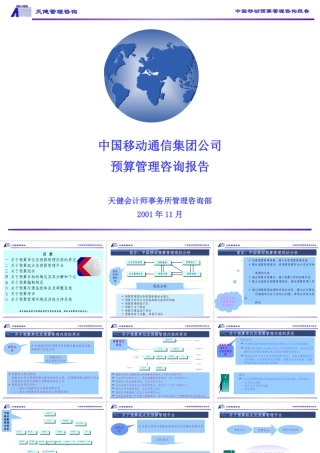 天健咨询—中国移动预算管理咨询报告