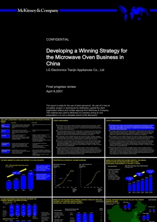 天津LG发展战略咨询报告