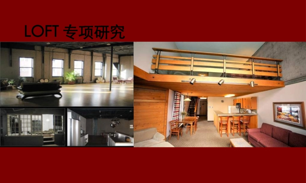 天津LOFT产品专项研究_102PPT