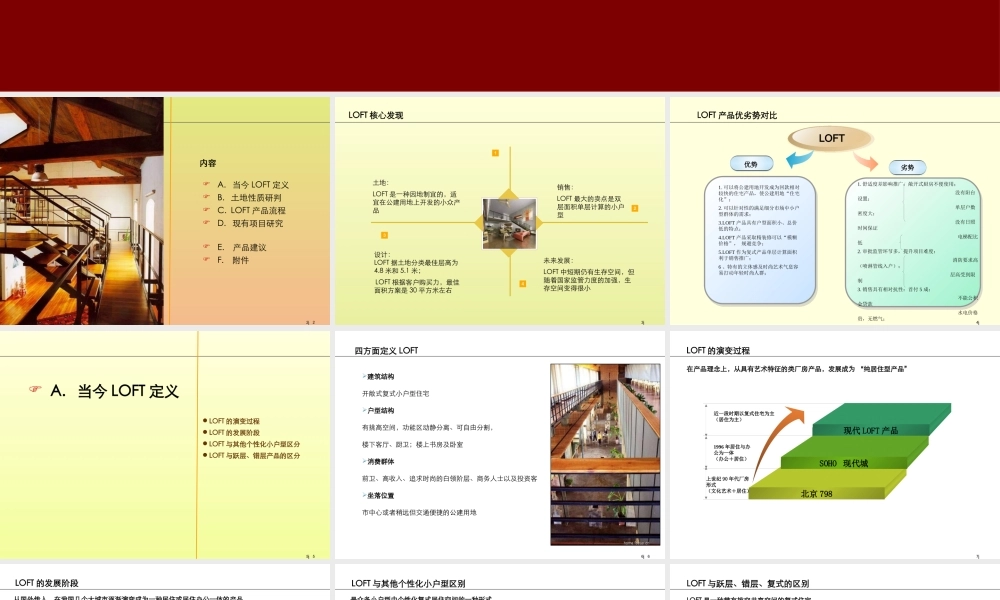 天津LOFT产品专项研究_102PPT