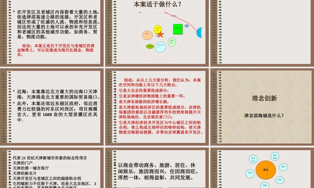 天津XX公司张贵庄项目策划方案