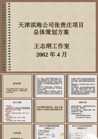 天津XX公司张贵庄项目策划方案