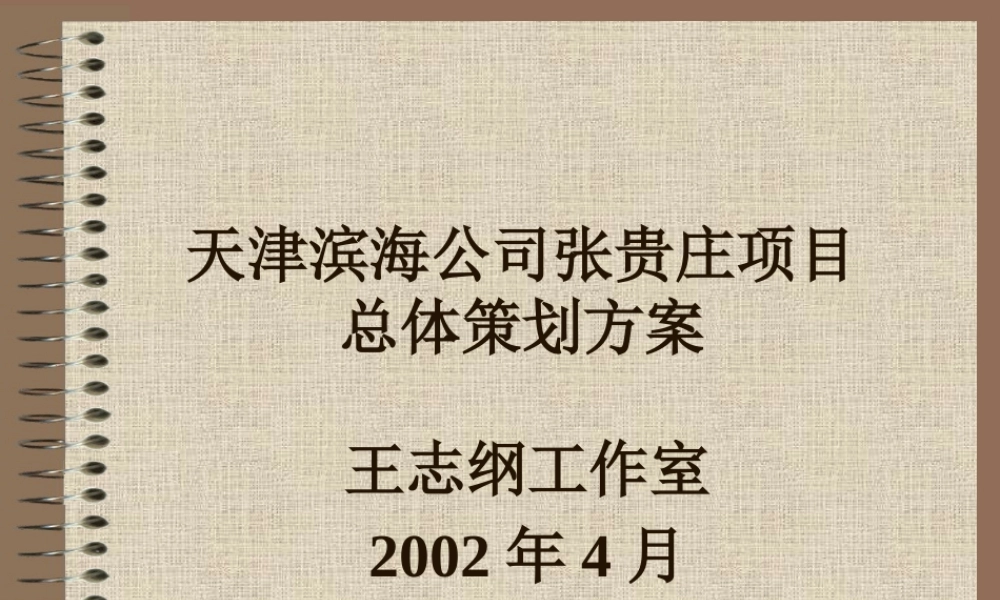 天津XX公司张贵庄项目总体策划方案
