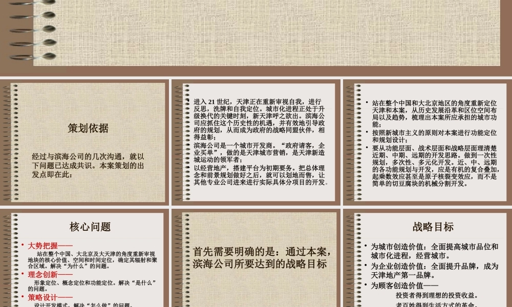天津XX公司张贵庄项目总体策划方案
