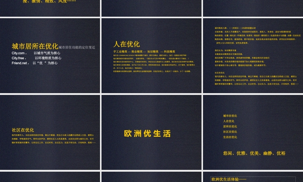 天津XX水晶城推广案方案（PPT31页)