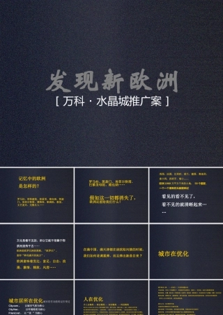 天津XX水晶城推广案方案（PPT31页)