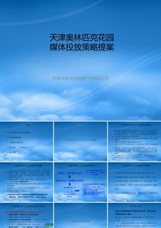 天津奥林匹克花园媒体投放策略提稿